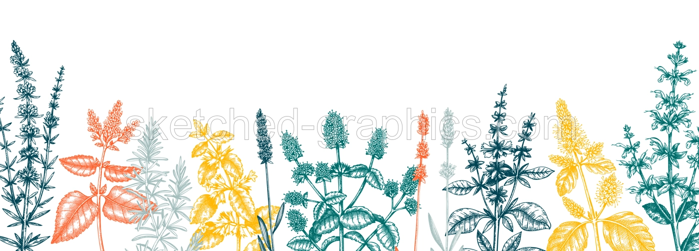 Mint Herbs Banner Illustration